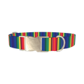 Bright Striped Dog Collar - metal silver