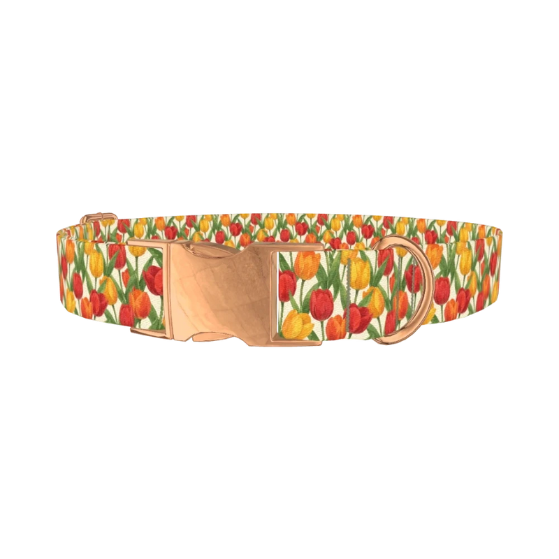 Red Yellow Tulip Pattern Dog Collar - metal rose gold