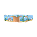 Beach Vacation Dog Collar - metal rose gold