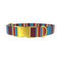 Colorful Stripe Dog Collar - metal rose gold