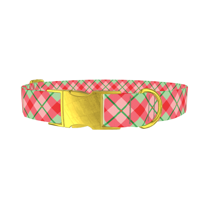 Festive Pink Plaid Dog Collar - metal gold