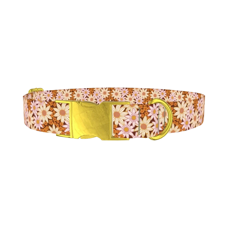 Retro Floral Dog Collar - metal gold