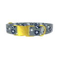 Football Sports Dog Collar - metal gold