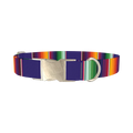 Colorful Stripes Dog Collar - metal silver