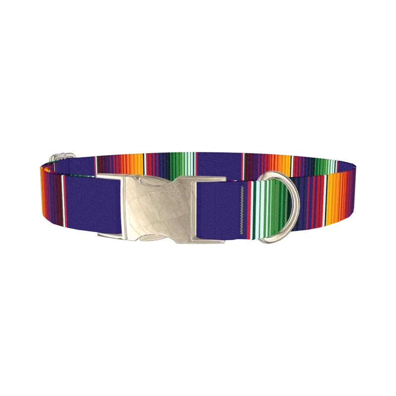 Colorful Stripes Dog Collar - metal silver