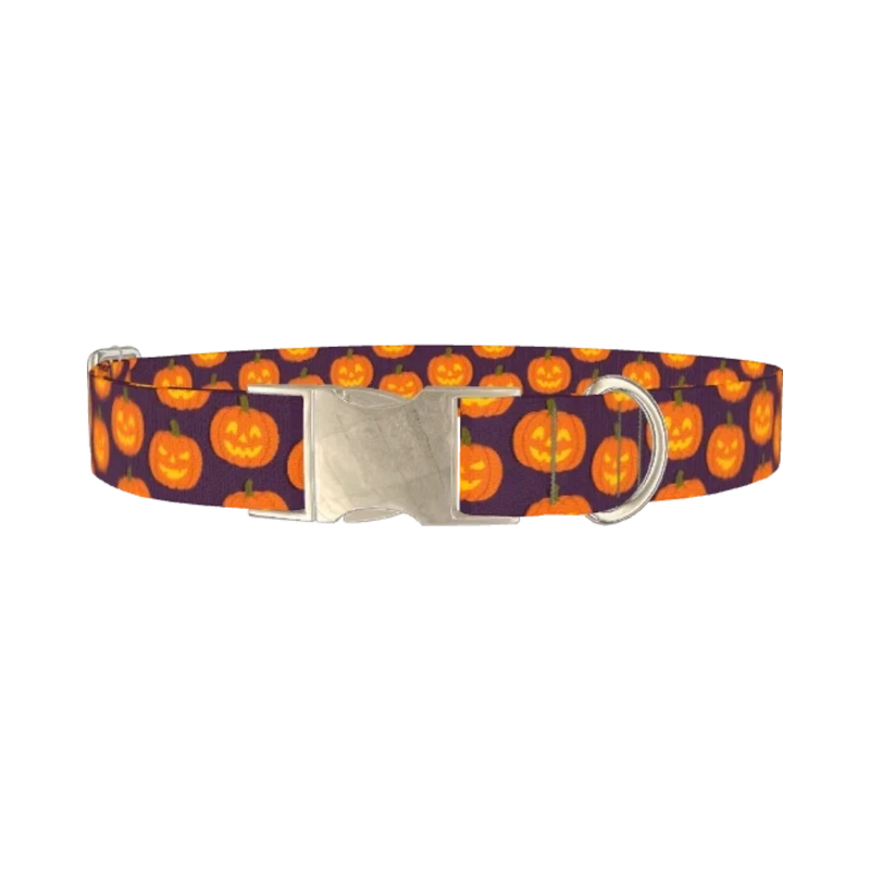 Halloween Pumpkin Dog Collar - metal silver