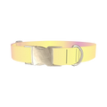 Sunset Gradient Dog Collar - metal silver