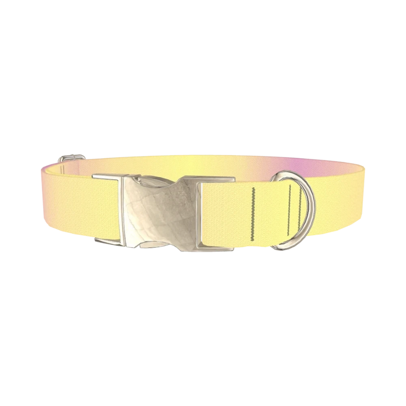 Sunset Gradient Dog Collar - metal silver