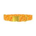 Geometric Honeycomb Dog Collar - metal gold
