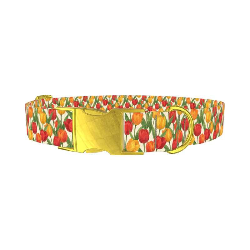 Red Yellow Tulip Pattern Dog Collar - metal gold
