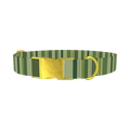 Green Striped Pattern Dog Collar - metal gold