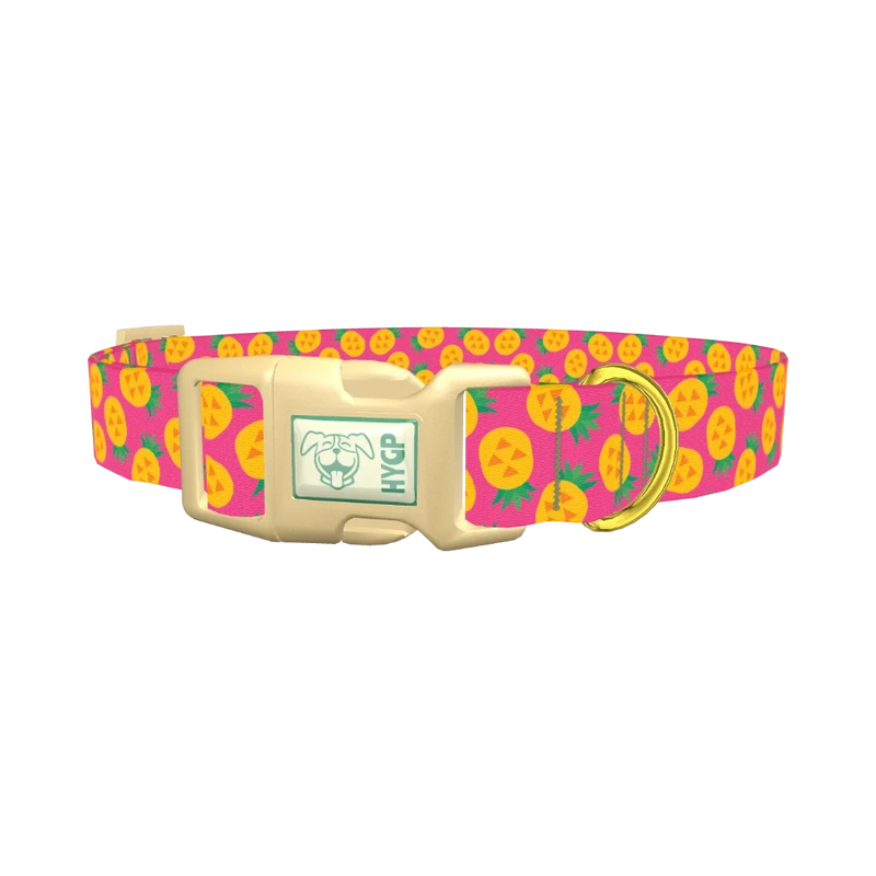 Pineapple Fruit Dog Collar - plastic gold