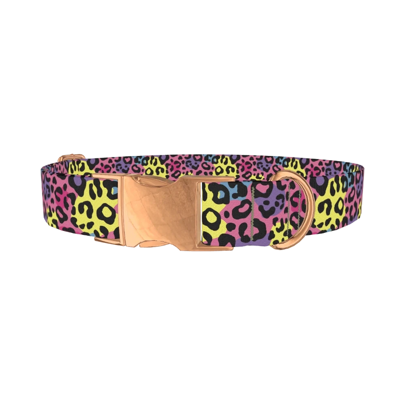 Colorful Leopard Print Dog Collar - metal rose gold