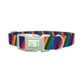 Geometric Rainbow Dog Collar - plastic silver