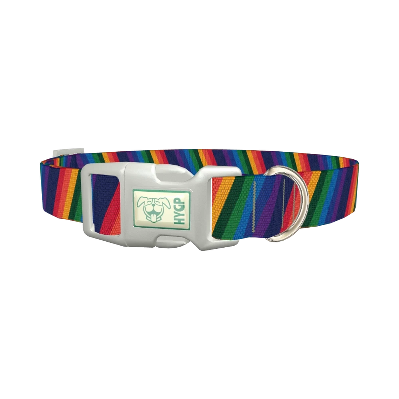 Geometric Rainbow Dog Collar - plastic silver