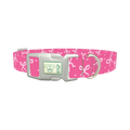 Bow Dot Dog Collar - plastic silver