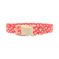 Watercolor Heart Dog Collar - plastic rose gold
