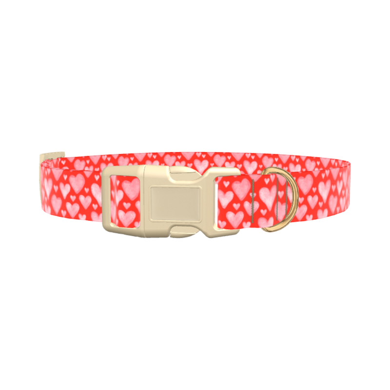 Watercolor Heart Dog Collar - plastic rose gold