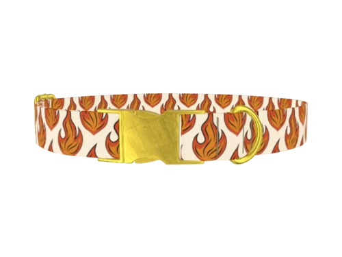 FUN_10_Fire