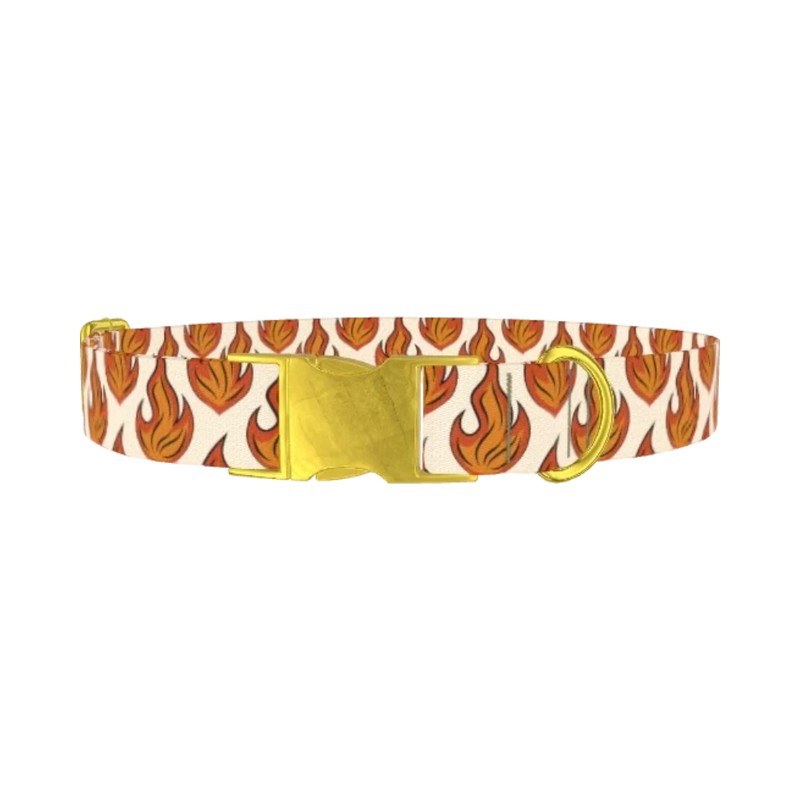 Blazing Flame Dog Collar - metal gold