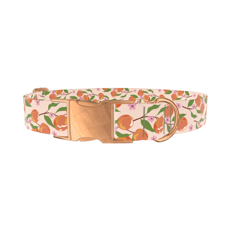 Peach Blossom Dog Collar - metal rose gold
