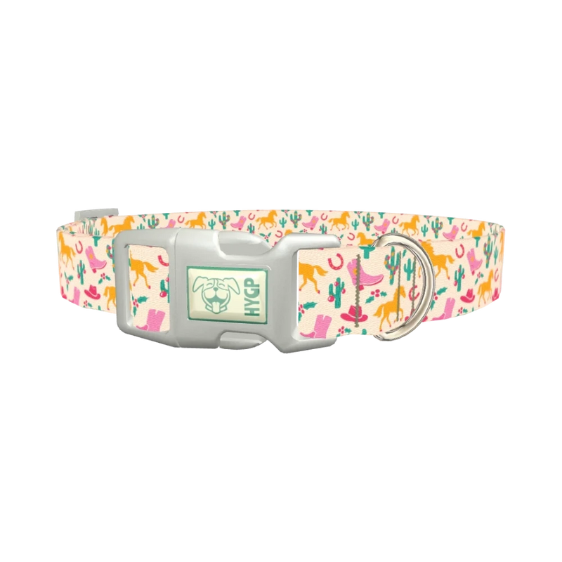 Christmas Western Dog Collar - plastic silver