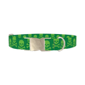 Green Skull Pattern Dog Collar - metal silver