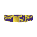 Energetic Lightning Dog Collar - metal gold