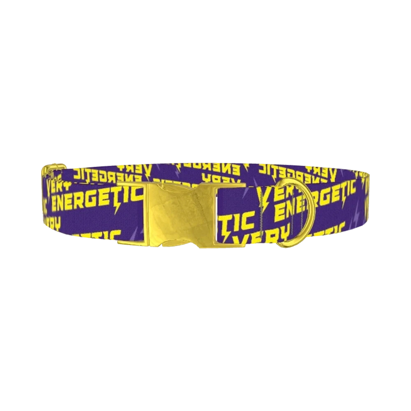 Energetic Lightning Dog Collar - metal gold
