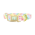 Rainbow Heart and Clover Dog Collar - plastic gold