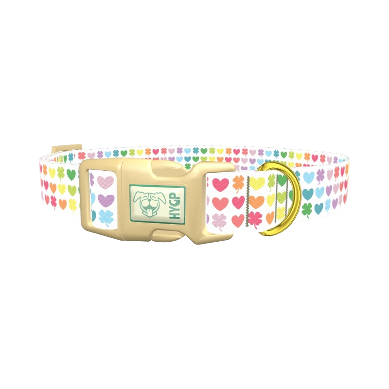 Rainbow Heart and Clover Dog Collar - plastic gold