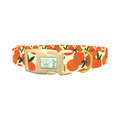 Fruit Orange Dog Collar - plastic gold