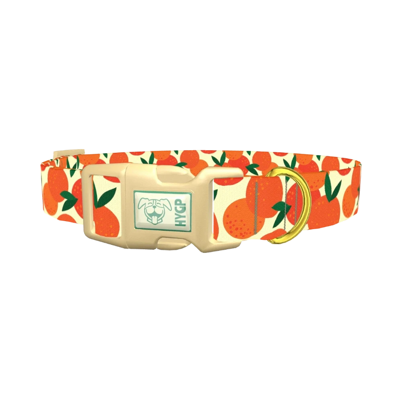 Fruit Orange Dog Collar - plastic gold