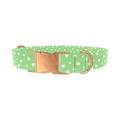 Green Heart Dog Collar - metal silver