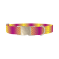Colorful Snake Skin Dog Collar - metal silver