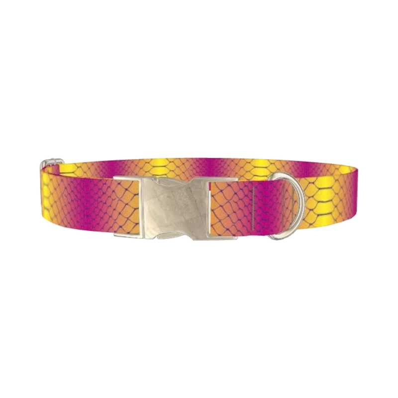 Colorful Snake Skin Dog Collar - metal silver