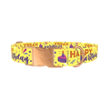 Birthday Cake Dog Collar - metal rose gold