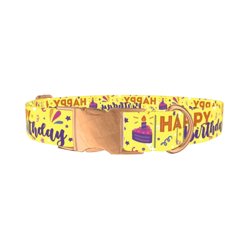 Birthday Cake Dog Collar - metal rose gold