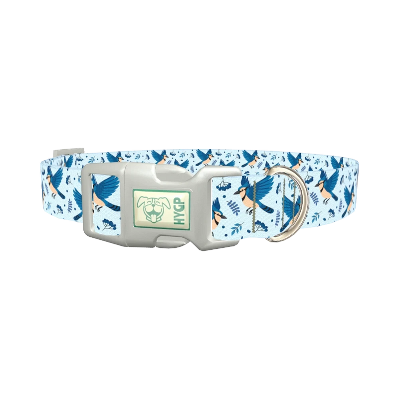 Bluejay Bird Dog Collar - plastic silver