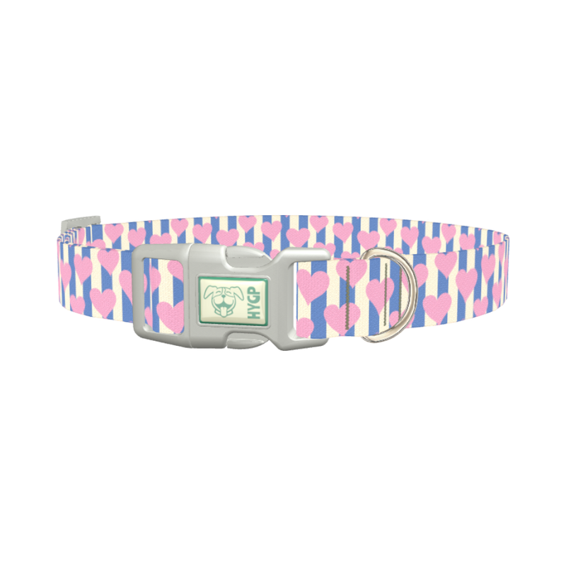 Heart Stripes Dog Collar - plastic silver