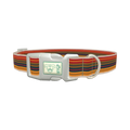 Autumn Stripes Dog Collar - plastic silver