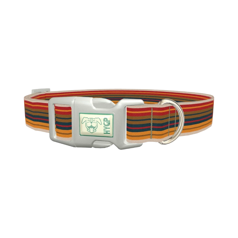 Autumn Stripes Dog Collar - plastic silver