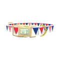 Patriotic Stars and Stripes Dog Collar - plastic gold
