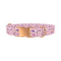 Watercolor Floral Dog Collar - metal rose gold