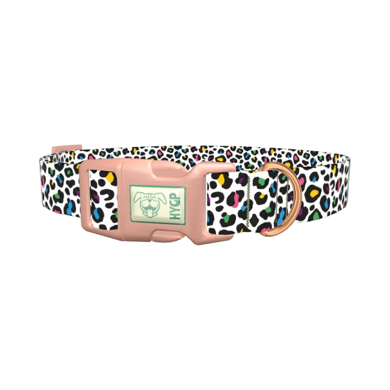 Colorful Leopard Dog Collar - plastic rose gold