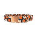 Pumpkin Patch Dog Collar - metal silver