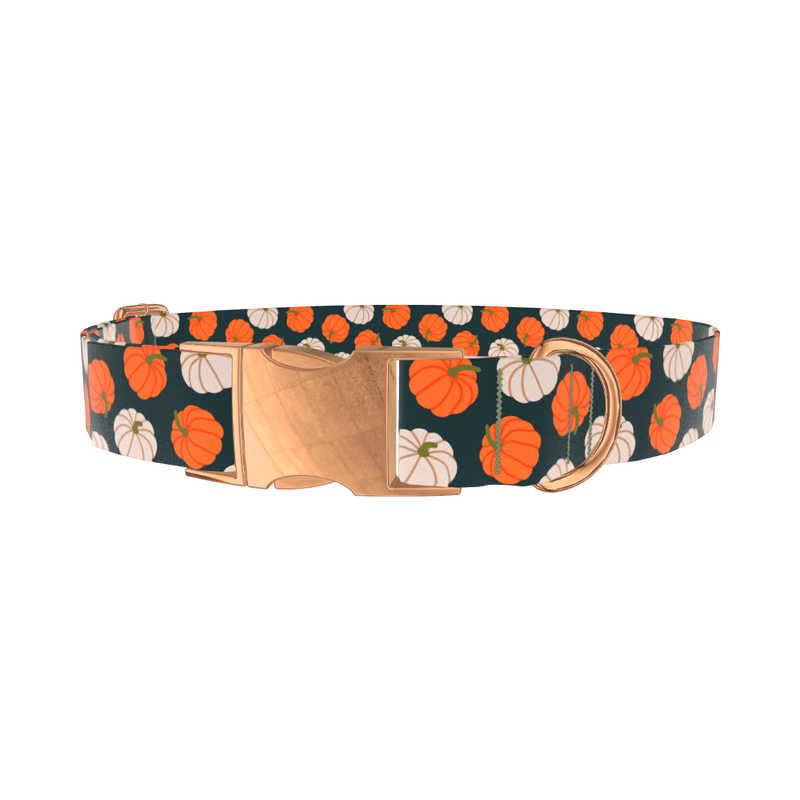 Pumpkin Patch Dog Collar - metal silver