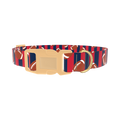 Patriotic Football Dog Collar - plastic gold