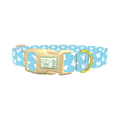 Sky Blue Butterfly Dog Collar - plastic gold