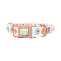 Halloween Embroidery Dog Collar - plastic gold